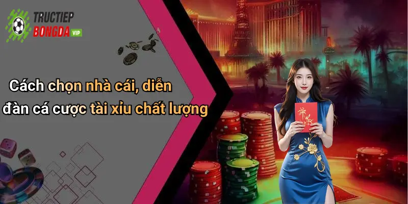 Cách chọn nhà cái, diễn đàn cá cược tài xỉu chất lượng