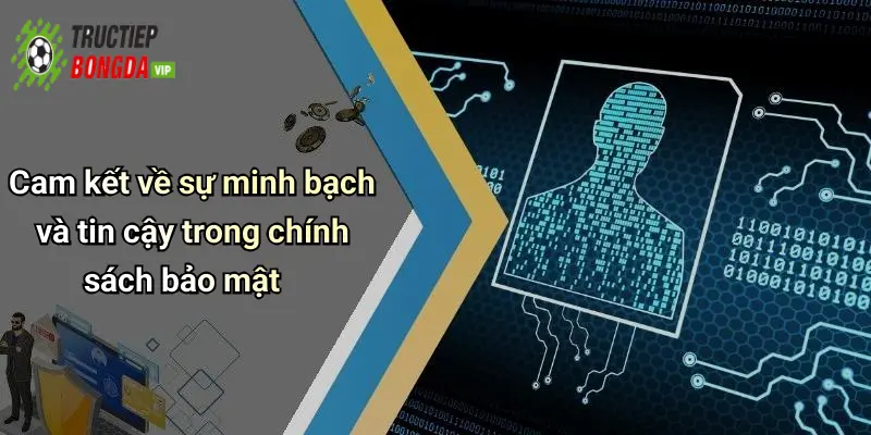 Cam kết về sự minh bạch và tin cậy trong chính sách bảo mật