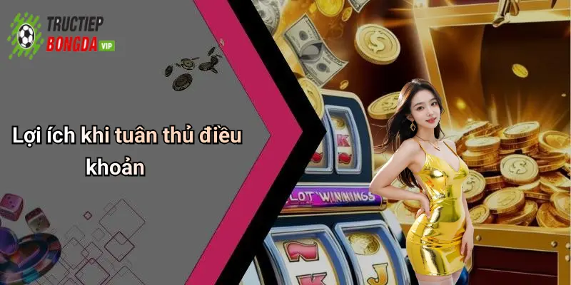 Lợi ích khi tuân thủ điều khoản