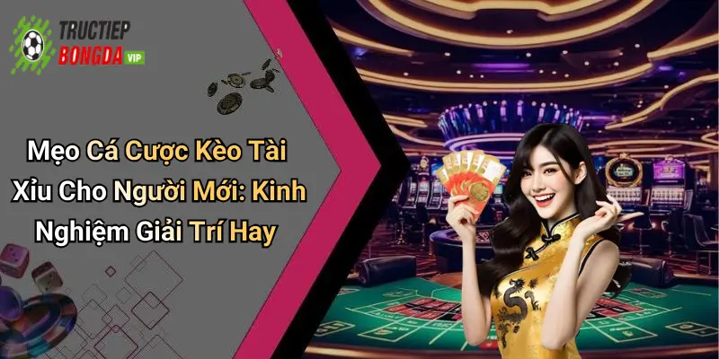 Mẹo Cá Cược Kèo Tài Xỉu Cho Người Mới: Kinh Nghiệm Giải Trí Hay