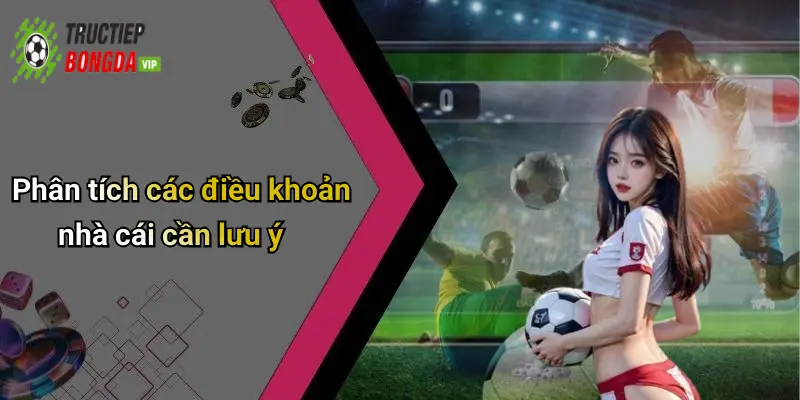 Phân tích các điều khoản nhà cái cần lưu ý