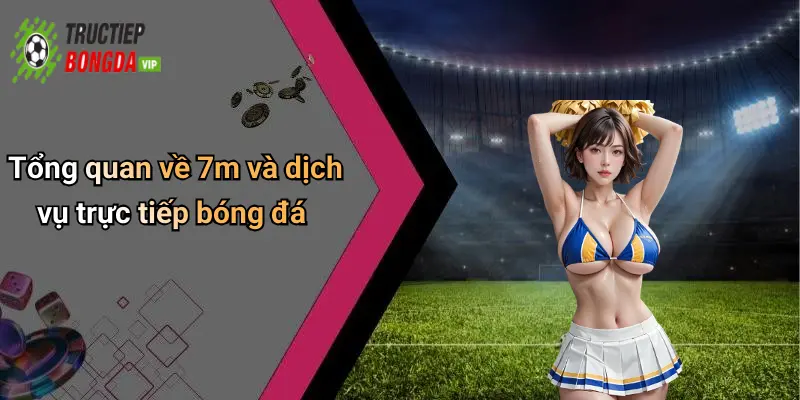Tổng quan về 7m và dịch vụ trực tiếp bóng đá