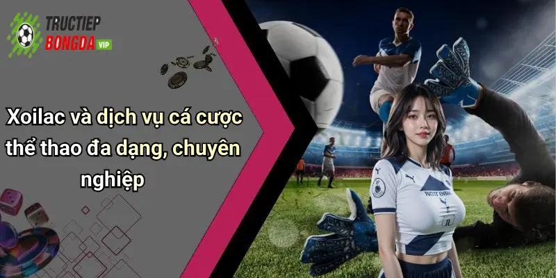 Xoilac và dịch vụ cá cược thể thao đa dạng, chuyên nghiệp