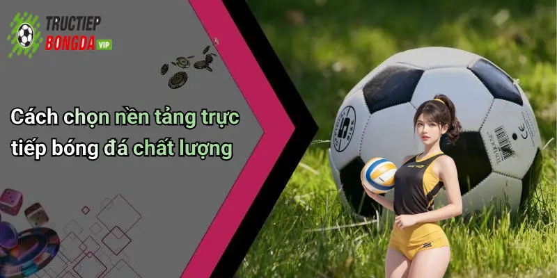 Cách chọn nền tảng trực tiếp bóng đá chất lượng