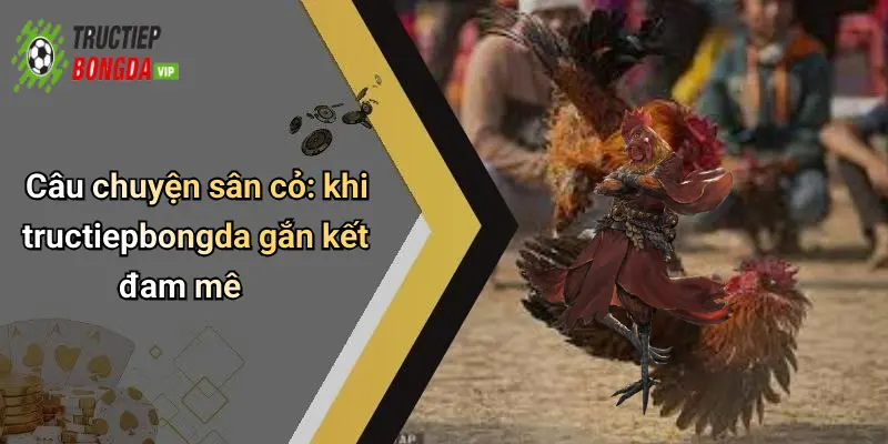 Câu chuyện sân cỏ: khi tructiepbongda gắn kết đam mê