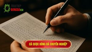 thumb - cá cược bóng đá chuyên nghiệp