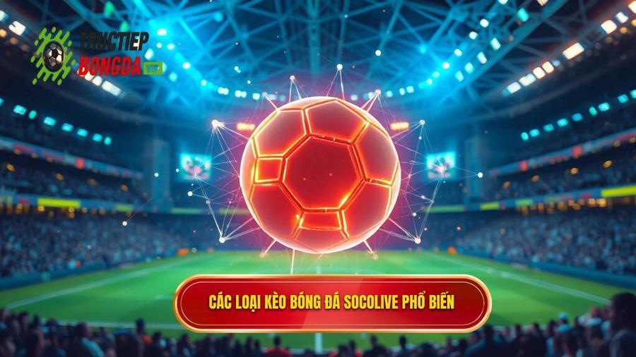 Các loại Kèo bóng đá Socolive phổ biến nhất hiện nay