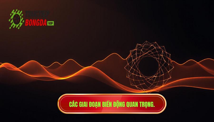 Các giai đoạn quan trọng của sự biến động