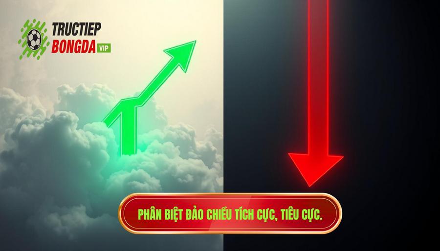 Phân biệt đảo chiều tích cực và đảo chiều tiêu cực