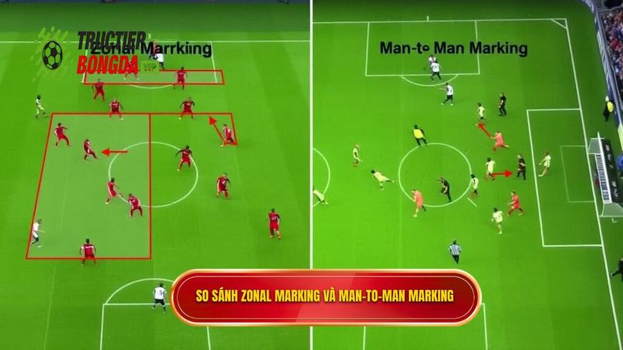 So sánh Zonal Marking và Man-to-man Marking