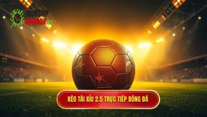 Kèo tài xỉu 2.5 toàn trận là gì? Bí quyết soi kèo từ chuyên gia