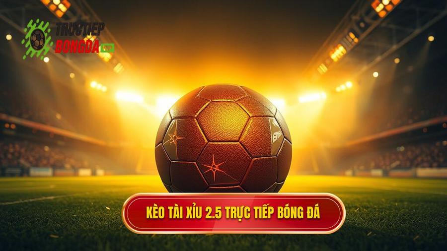 Kèo tài xỉu 2.5 toàn trận là gì? Bí quyết soi kèo từ chuyên gia